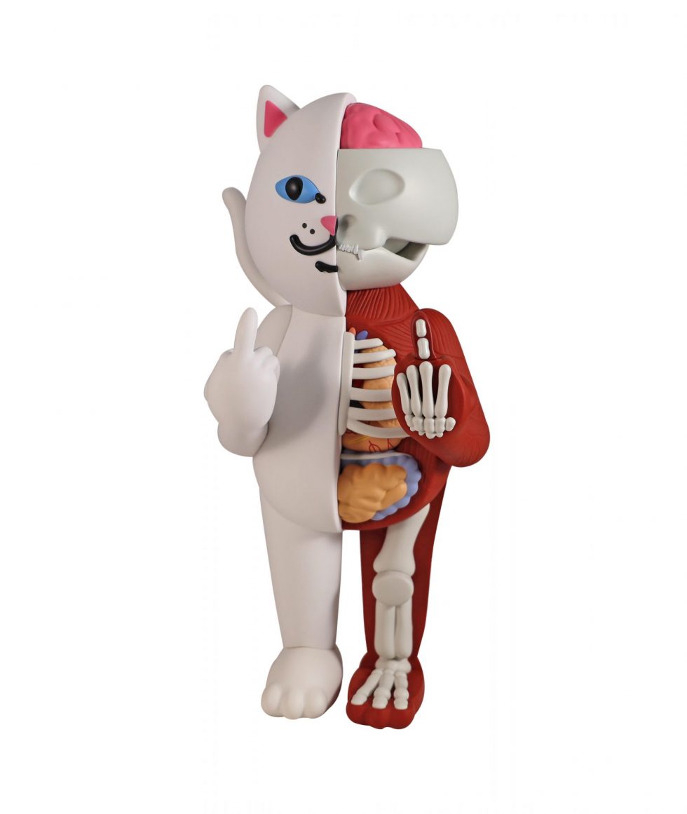 Rip N Dip Lord Nermal Anatomy Vinyl Figure – Baer & Bosch Toy Auctions