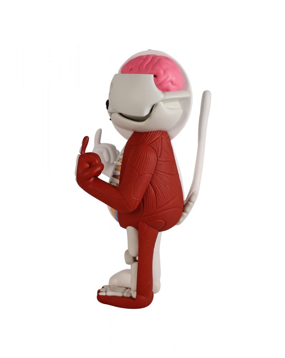 Rip N Dip Lord Nermal Anatomy Vinyl Figure – Baer & Bosch Toy Auctions