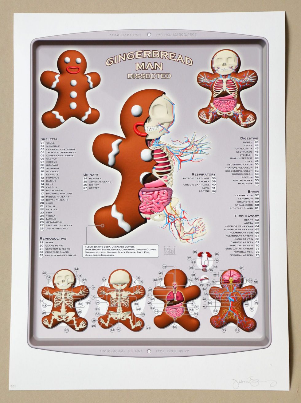 HB29-076 – Jason Freeny Gingerbread Man Dissected Print Limited Edition of 75 – Baer & Bosch Auctions