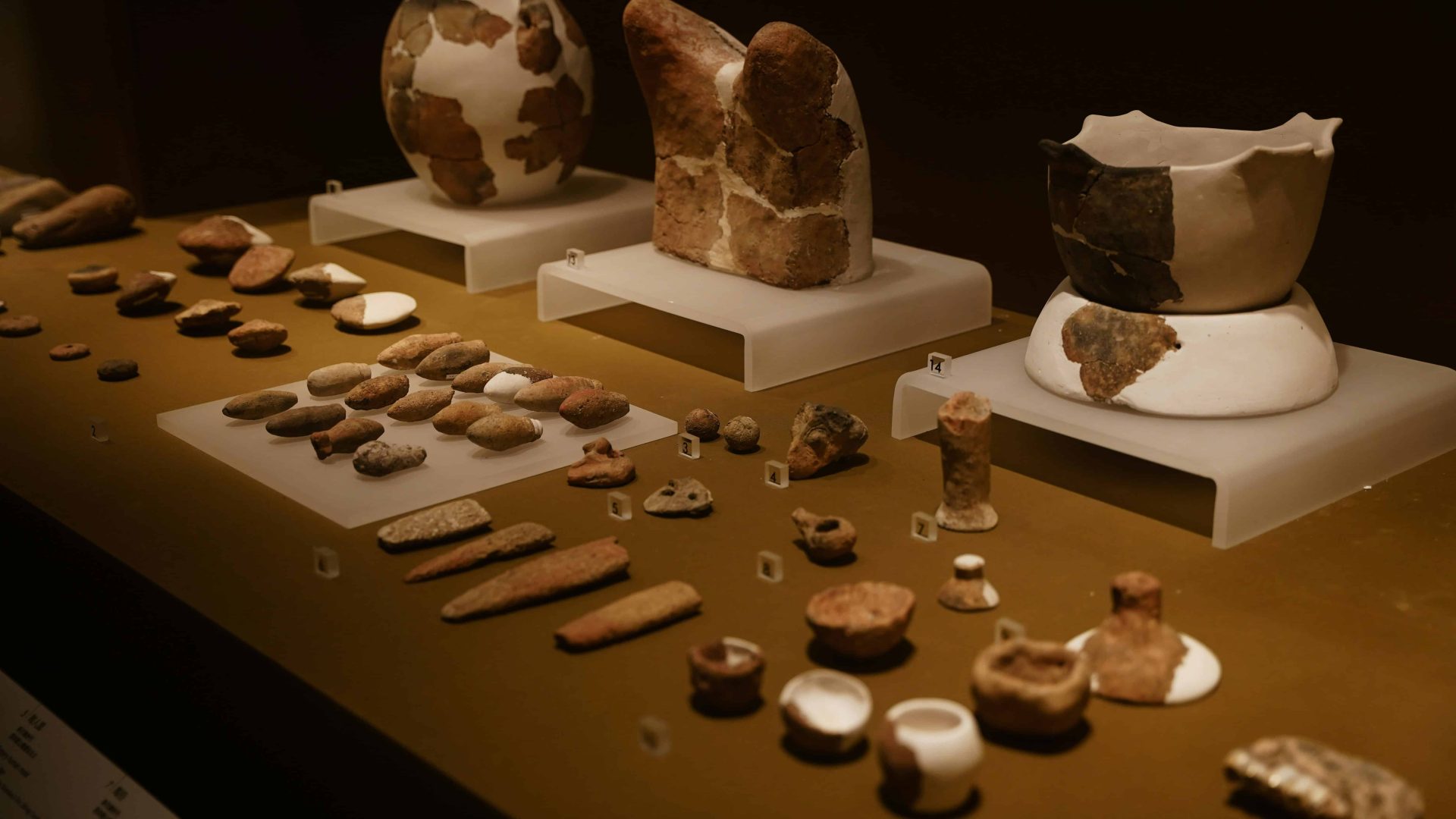 Museum display featuring archaeological pottery, stone tools, and ancient artifacts.