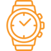 luxurywatch-baer